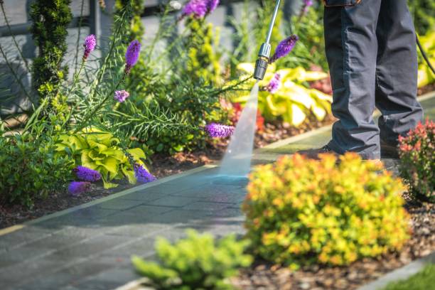Professional Pressure Washing Services in South Greensburg, PA