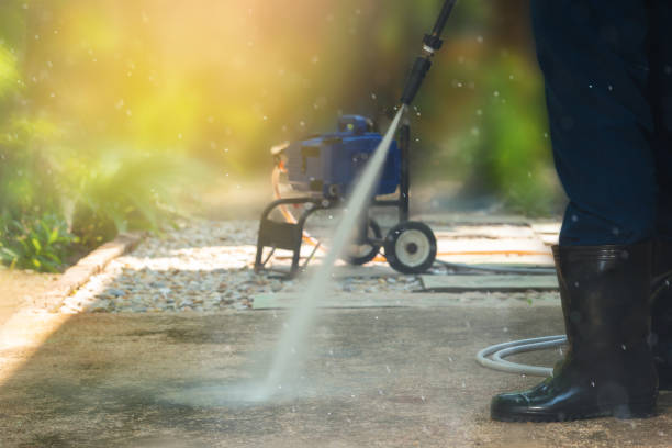 Animal Enclosure Cleaning in South Greensburg, PA